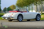 1967 Austin-Healey 3000 Mk3 oldtimer te koop