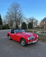 1955 Austin-Healey 100/4  bn1 oldtimer te koop