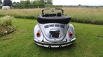 1972 Volkswagen Kever 1302 LS Cabrio oldtimer te koop