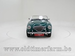 1954 Austin-Healey 100/4 BN1 oldtimer te koop