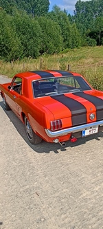 1966 Ford Mustang V8 5000cc oldtimer te koop