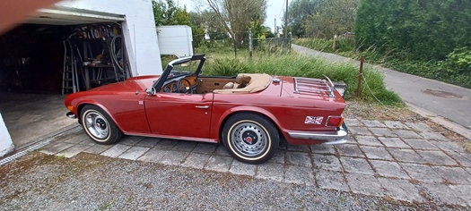 1976 Triumph TR6 oldtimer te koop