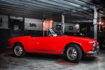 1964 Alfa Romeo 1600 Giulia spider oldtimer te koop