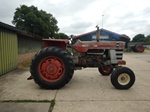 1969 Massey Ferguson MF 1100 oldtimer te koop