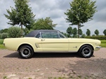 1966 Ford Mustang Hardtop Coupe oldtimer te koop