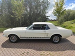 1967 Ford MUSTANG | NO RESERVE oldtimer te koop