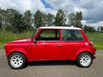 1991 Mini Cooper oldtimer te koop