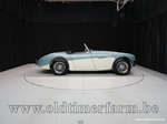 1954 Austin-Healey 100/4 BN 1 oldtimer te koop