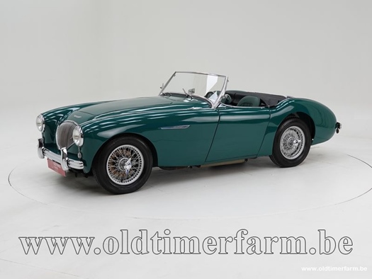 1954 Austin-Healey 100/4 BN1 oldtimer te koop