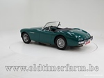 1954 Austin-Healey 100/4 BN1 oldtimer te koop