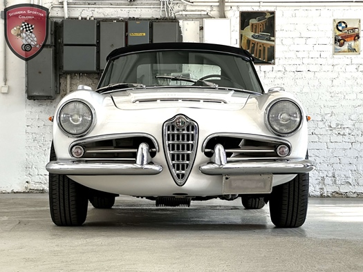 1965 Alfa Romeo Giulia spider veloce 101.18 oldtimer te koop