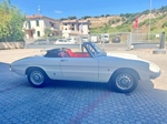 1967 Alfa Romeo Spider 1600 'Osso di seppia' oldtimer te koop