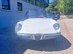 1967 Alfa Romeo Spider 1600 'Osso di seppia' oldtimer te koop