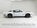 1981 Pontiac Firebird II Trans AM  oldtimer te koop