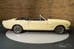 1965 Ford Mustang oldtimer te koop