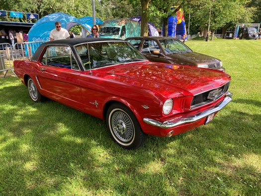 1965 Ford mustang  oldtimer te koop