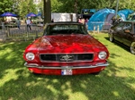 1965 Ford mustang  oldtimer te koop