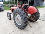 1959 Massey Ferguson MF35 (FE35) oldtimer te koop