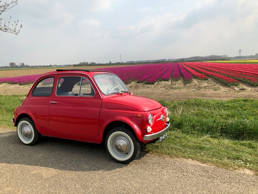 1968 Fiat 500F oldtimer te koop