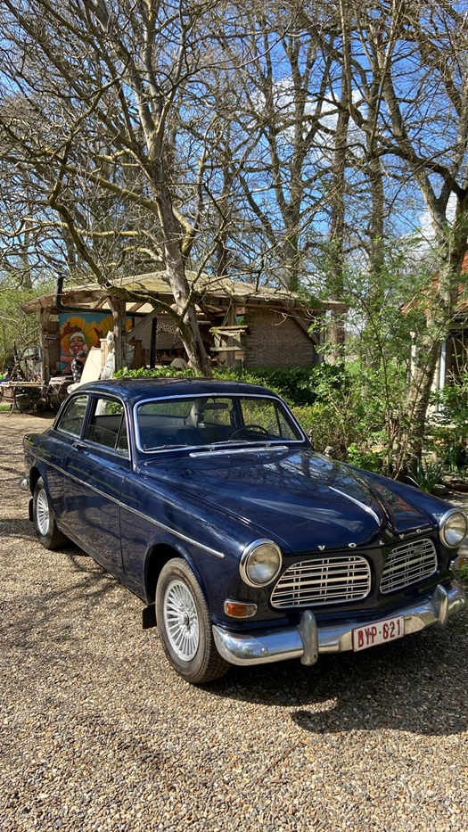 1967 Volvo 122S oldtimer te koop