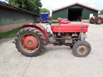 1970 Massey Ferguson MF140 Vineyard Diesel oldtimer tractor te koop