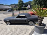 1967 Ford Mustang oldtimer te koop