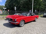 1965 Ford Mustang oldtimer te koop