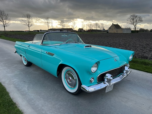 1955 Ford Thunderbird oldtimer te koop