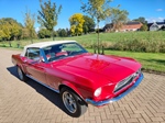 1968 Ford Mustang Convertible V8 5 Speed oldtimer te koop