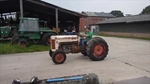 1956 Massey Ferguson F40 oldtimer tractor te koop