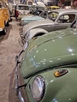 1954 Volkswagen Ovaal kever oldtimer te koop