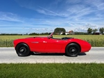 1954 Austin-Healey 100/4  oldtimer te koop