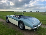 1959 Austin-Healey 100/6  oldtimer te koop