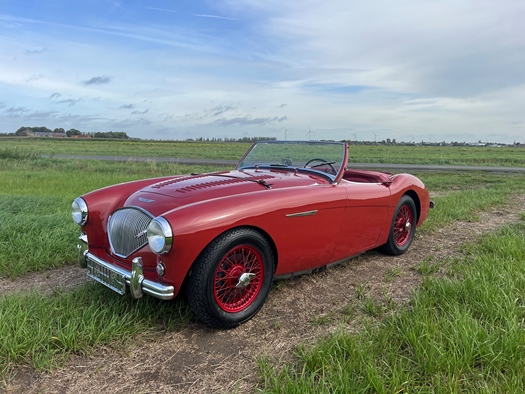 1954 Austin-Healey 100/4 oldtimer te koop