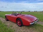 1954 Austin-Healey 100/4 oldtimer te koop