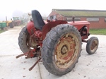 1956 Massey-Harris 745 oldtimer tractor te koop