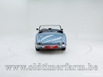 1954 Austin-Healey 100/4 BN 1 oldtimer te koop