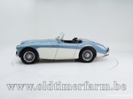 1954 Austin-Healey 100/4 BN 1 oldtimer te koop