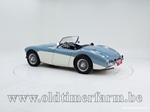 1954 Austin-Healey 100/4 BN 1 oldtimer te koop