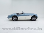 1954 Austin-Healey 100/4 BN 1 oldtimer te koop