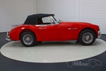 1966 Austin-Healey 3000 oldtimer te koop