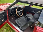 1969 Ford Mustang oldtimer te koop