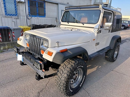 1995 Jeep Wrangler oldtimer te koop