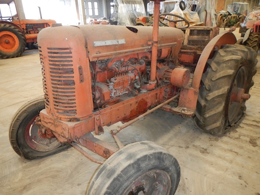 1953 David Brown 50D oldtimer tractor te koop