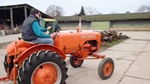 1959 Allis-Chalmers D272 Diesel oldtimer tractor te koop