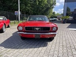 1965 Ford Mustang oldtimer te koop