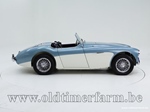 1954 Austin-Healey 100/4 BN 1 oldtimer te koop