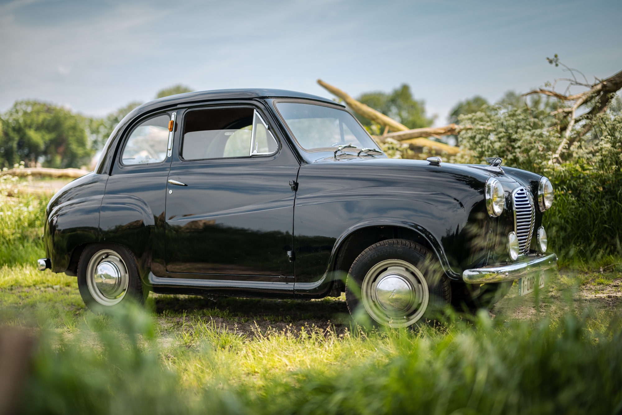 1955 Austin A 30 oldtimer te koop